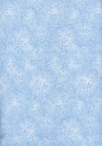 7755-11 - Folio