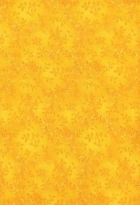 7755-34 - Folio