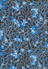 F777-1 Pattern Perfect