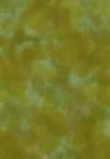 H50-17 Olive - Perfect Palette - 1 YD Precut