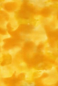 H50-19 Gold - Perfect Palette - 1 YD Precut