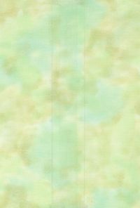 H50-31 Pistachio - Perfect Palette