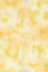 H50-33 Buttermilk - Perfect Palette - 1 YD Precut