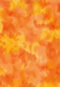 H50-34 Tangerine - Perfect Palette