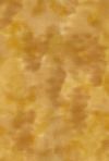 H50-43 Wheat - Perfect Palette - 1 YD Precut