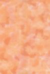 H50-46 Peach - Perfect Palette