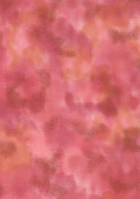 H50-49 Flamingo - Perfect Palette