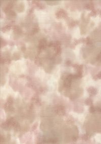 H50-63 Perfect Palette - Buff